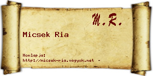 Micsek Ria névjegykártya